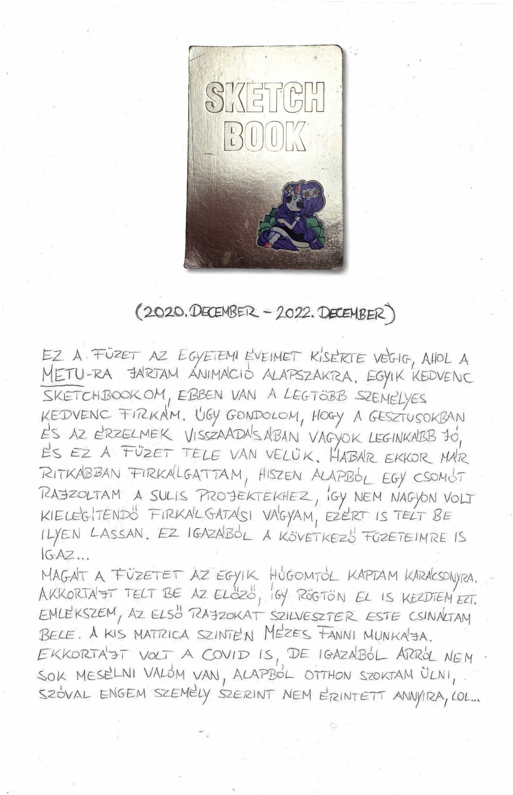 Palotás Adél: Palotás Adél irka-firka füzete 2016-2026 - Image 5
